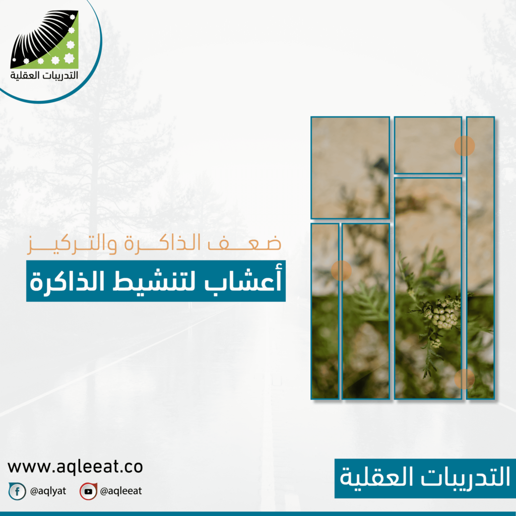 أعشاب-لتنشيط-الذاكرة