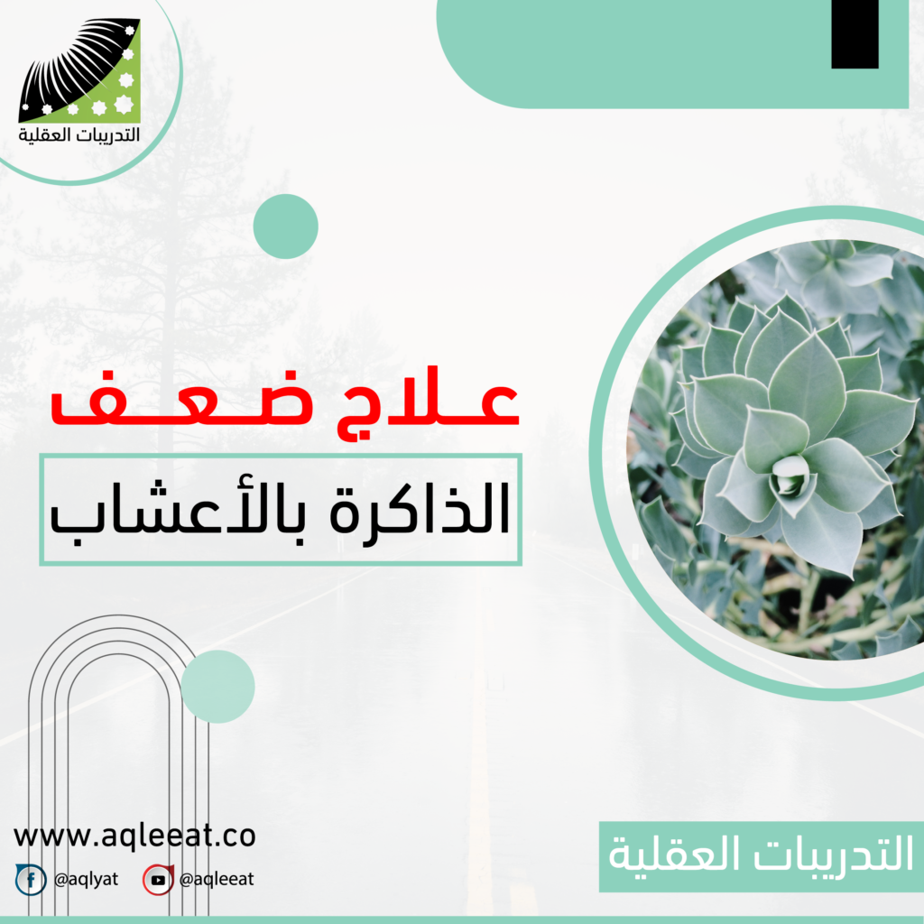 علاج-ضعف-الذاكرة-بالأعشاب
