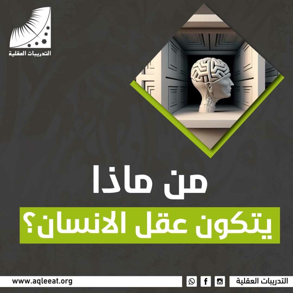 من ماذا يتكون عقل الانسان؟