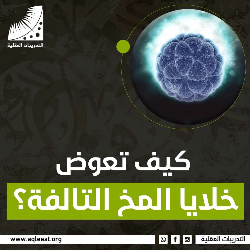 كيف تعوض خلايا المخ التالفة؟