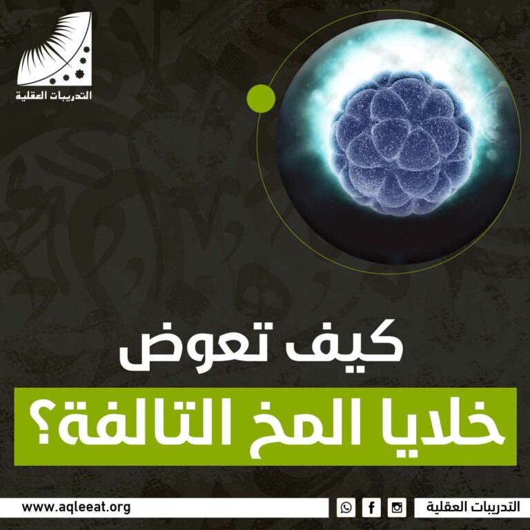 كيف تعوض خلايا المخ التالفة؟
